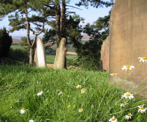 churchyard Gillamoor